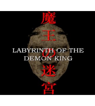 Labyrinth Of The Demon King Steam Key GLOBAL
